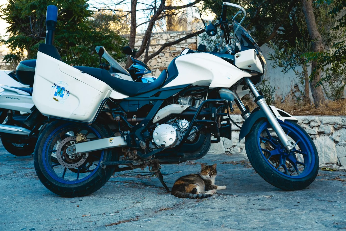 A white and blue motorcycle parked next to a dog
