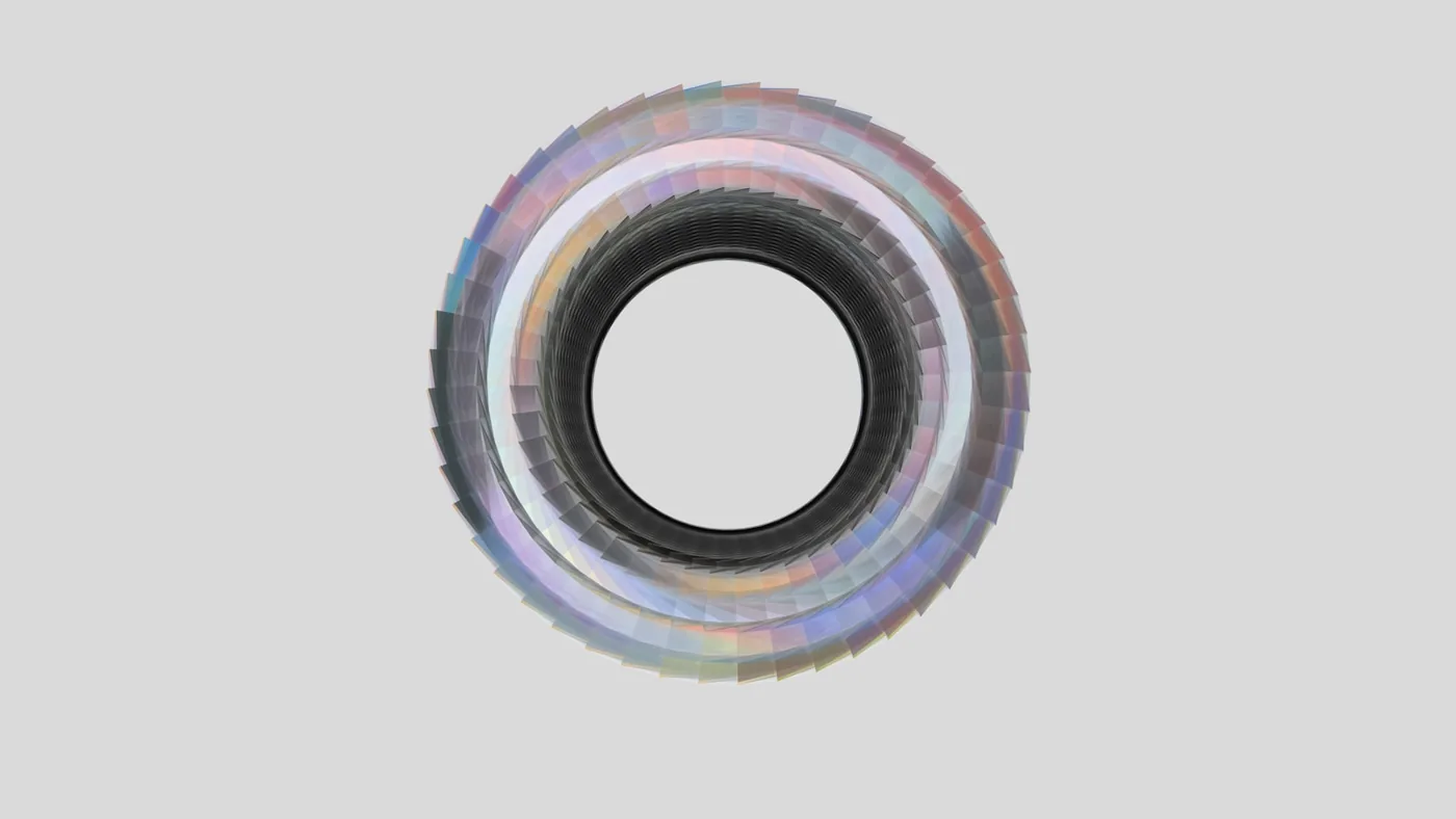 An oil seal ring