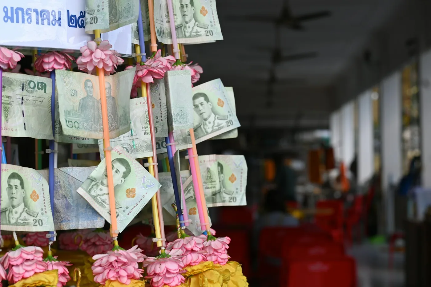 a bunch of money hanging from a ceiling